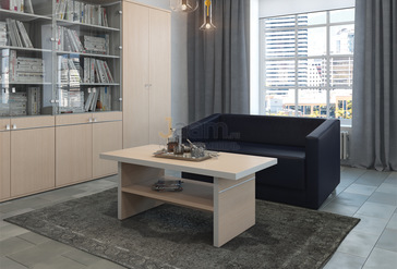 Кабинет руководителя Zoom