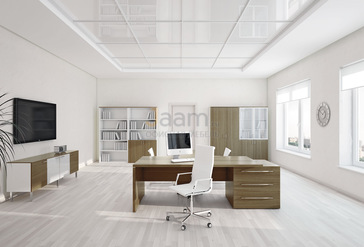 Кабинет руководителя Ekis